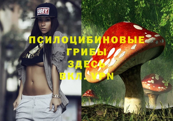mdma Богданович