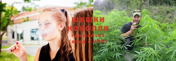 мдма Богородицк