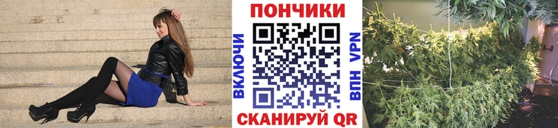 Бошки марихуана конопля  Симферополь 